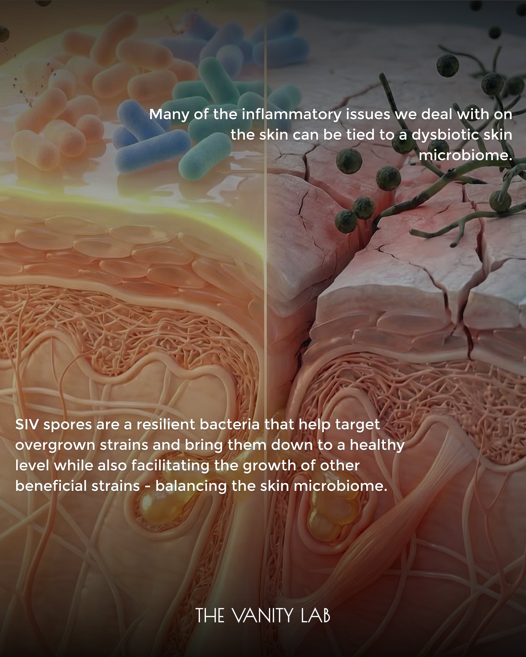 SIV Biome Balancing Serum